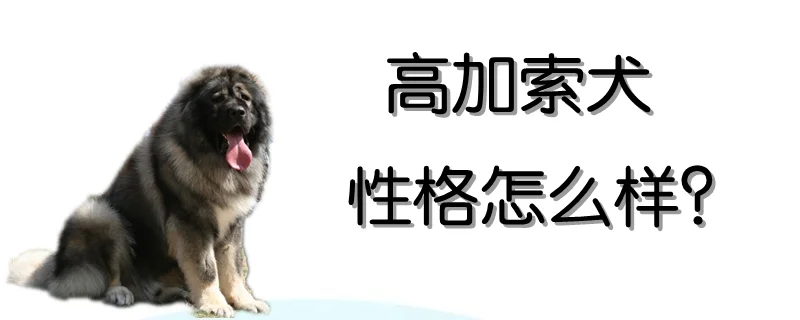 高加索犬性格怎么樣