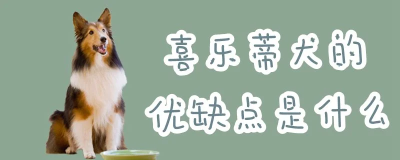 喜樂蒂犬的優缺點是什么