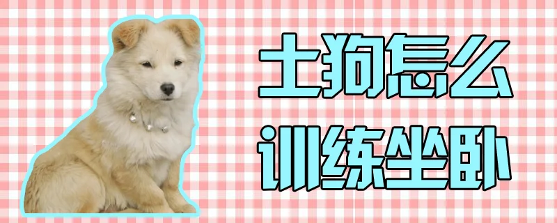 土狗怎么訓練坐臥