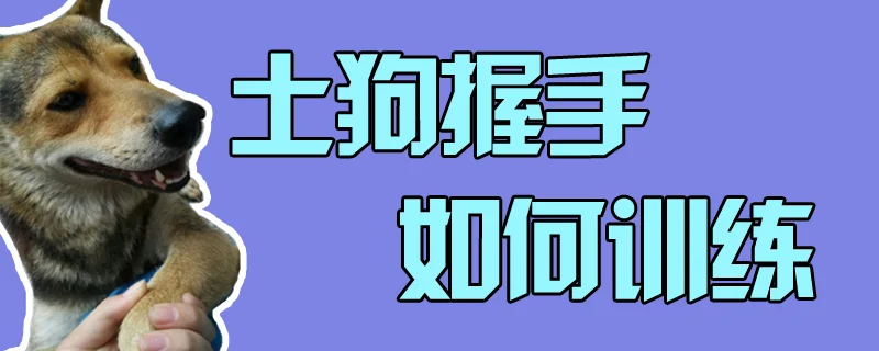 土狗握手如何訓練