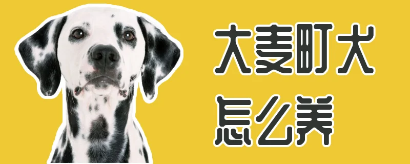 大麥町犬怎么養