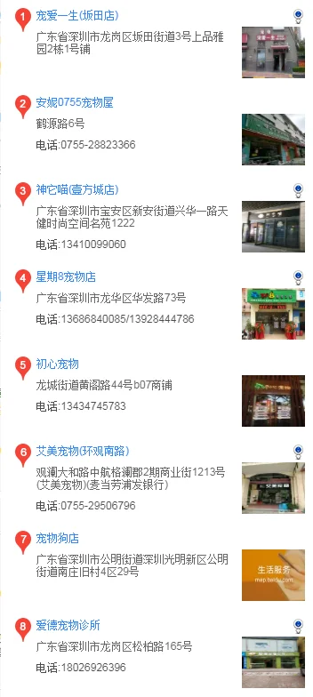 深圳買阿拉斯加 在深圳哪里買阿拉斯加