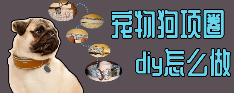 寵物狗項圈diy怎么做