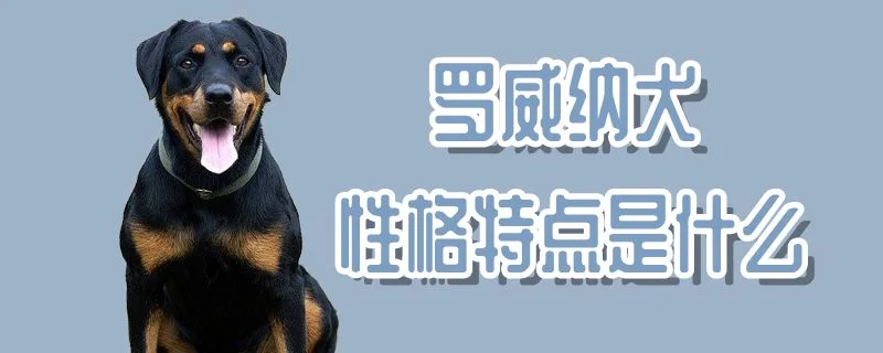 羅威納犬性格特點是什么