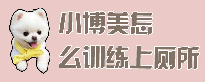 小博美怎么訓練上廁所