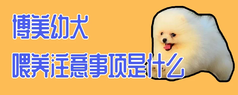 博美幼犬喂養注意事項是什么