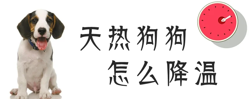 天熱狗狗怎么降溫