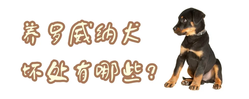 養羅威納犬的壞處有哪些