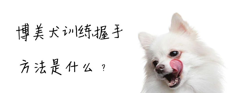 博美犬訓練握手方法是什么