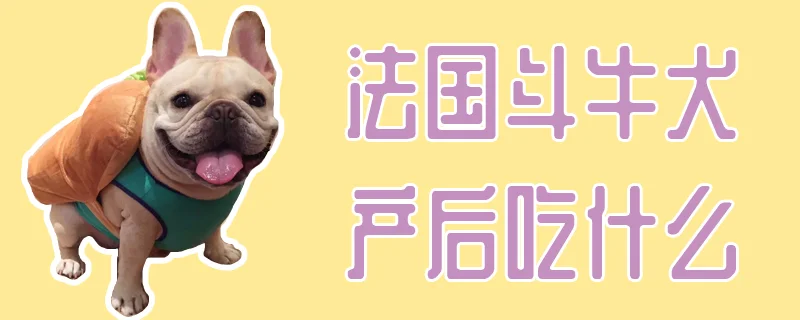 法國斗牛犬產后吃什么