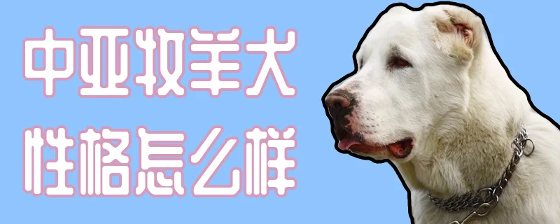 中亞牧羊犬性格怎么樣