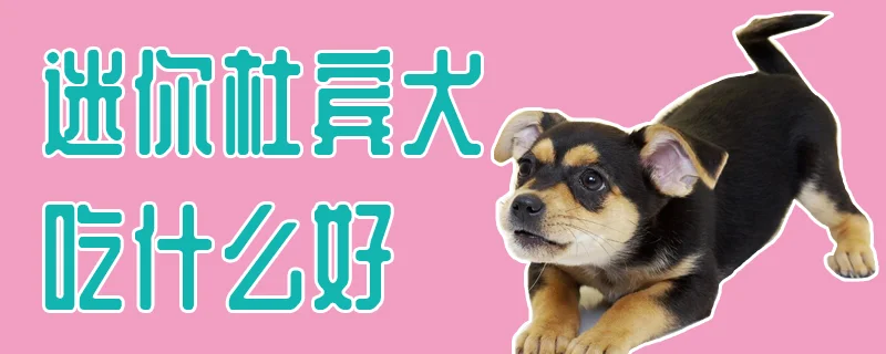 迷你杜賓犬吃什么好