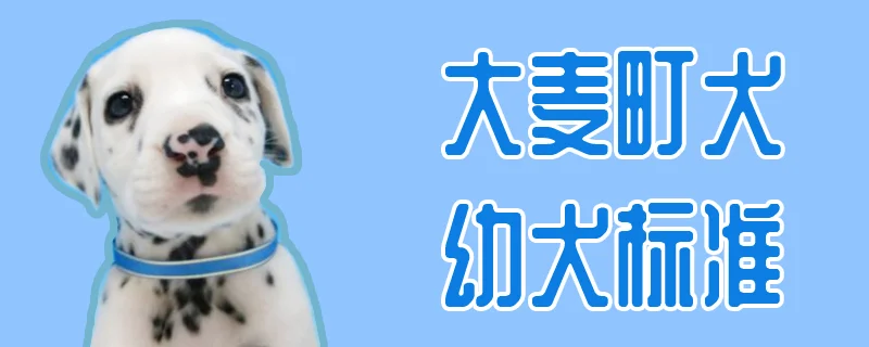 大麥町犬幼犬標準