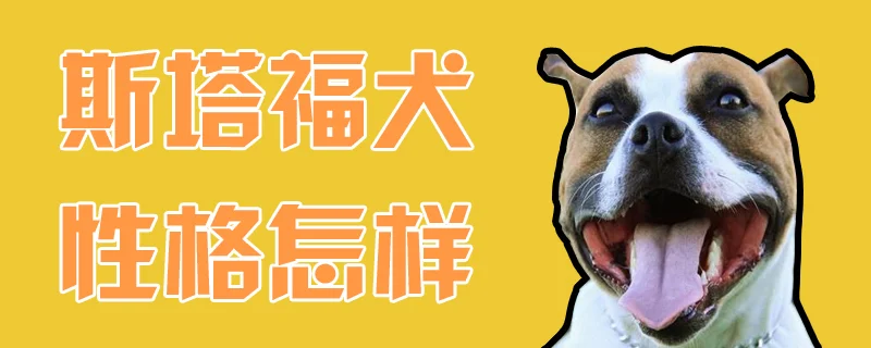 斯塔福犬性格怎樣