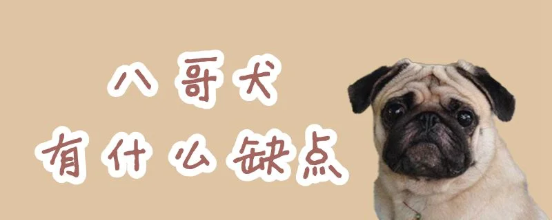 八哥犬有什么缺點