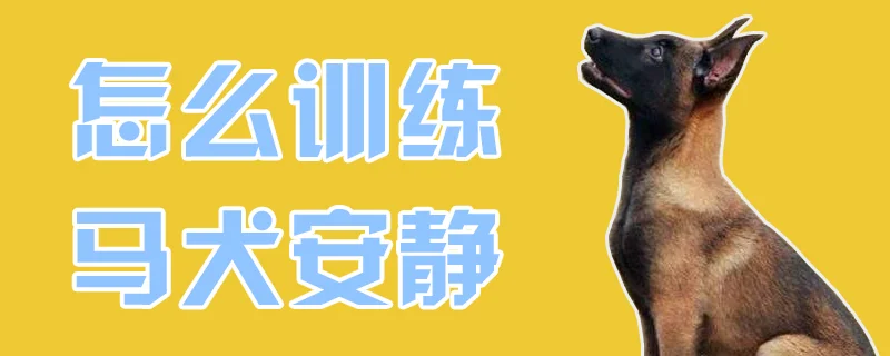 怎么訓(xùn)練馬犬安靜