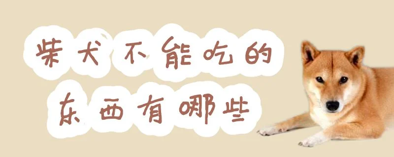 柴犬不能吃的東西有哪些