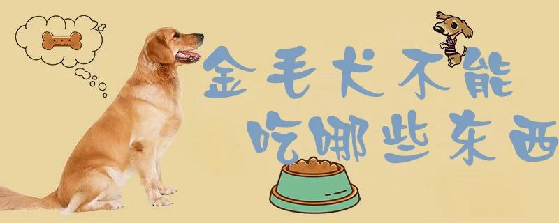 金毛犬不能吃哪些東西