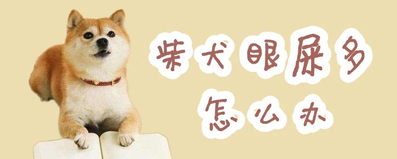 柴犬眼屎多怎么辦