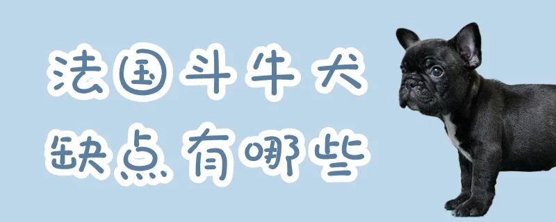 法國(guó)斗牛犬缺點(diǎn)有哪些