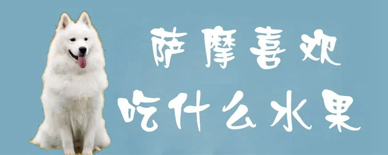 薩摩喜歡吃什么水果1