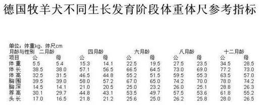 德牧體重對照表