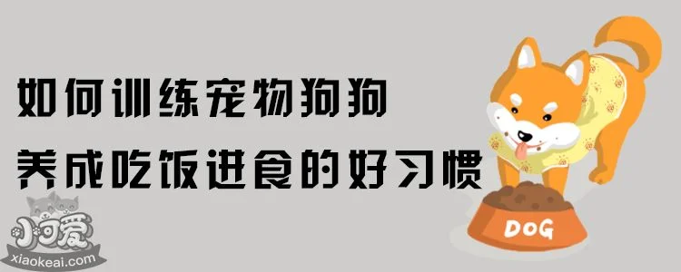 如何訓練寵物狗狗養成吃飯進食的好習慣？