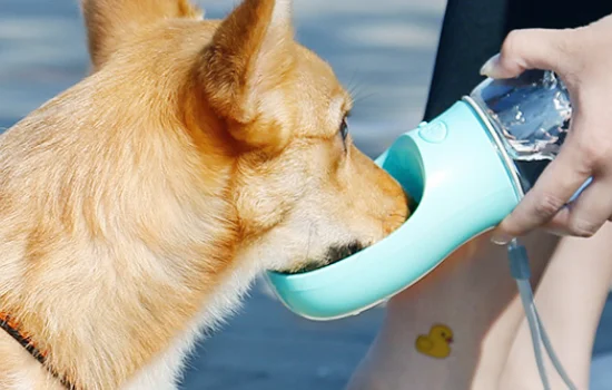 狗狗夏季外出帶水瓶 狗狗外出必備便攜式飲水瓶