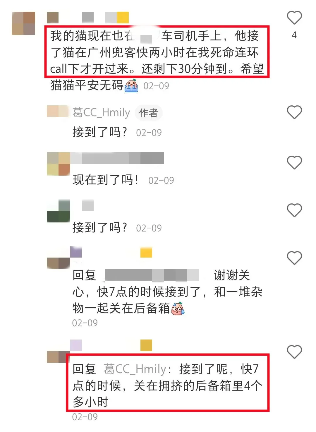 “花300元打的專車，卻活活悶死了我的狗”