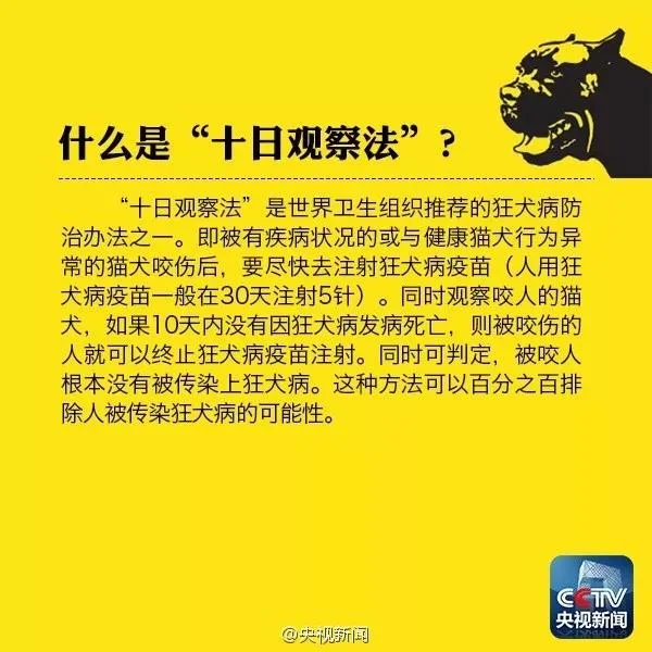 狗咬了多久過安全期沒有打針 十日觀察法有效嗎狗咬了多久過安全期沒有打針 十日觀察法有效嗎