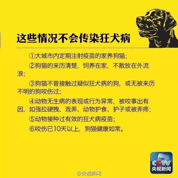 家里的狗咬了會得狂犬病嗎 央視官方解釋