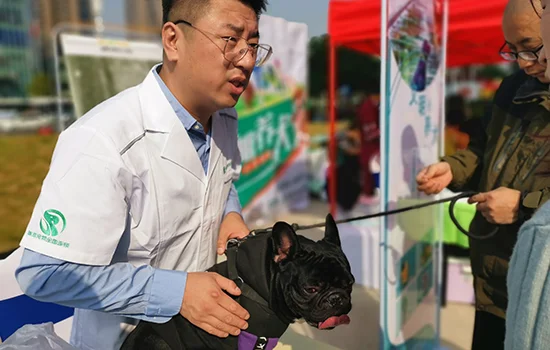 長沙科學預防狂犬病，一群寵物狗領到“電子身份證”