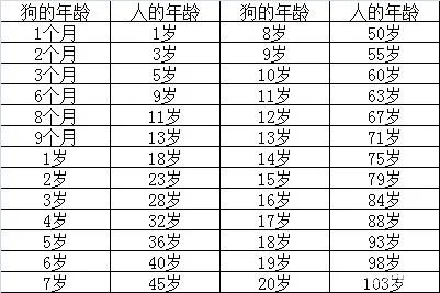 博美犬八個月相當于人的多少歲 你知道狗和人的年齡換算嗎博美犬八個月相當于人的多少歲 你知道狗和人的年齡換算嗎博美犬八個月相當于人的多少歲 你知道這些年齡換算嗎