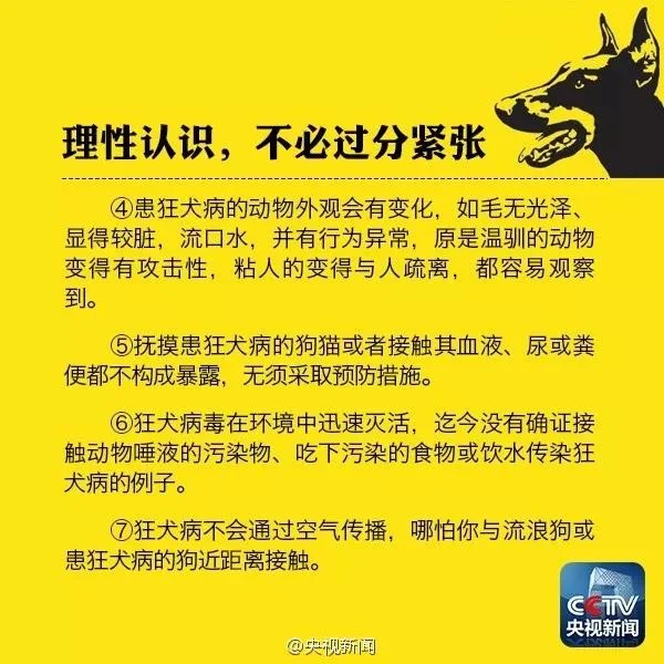 自家養的狗抓破了點皮 會感染狂犬病嗎自家養的狗抓破了點皮 會感染狂犬病嗎