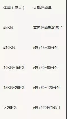 秋田犬每天要溜多久 原來遛狗跟體重有關系