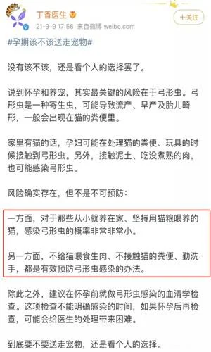 因為備孕，父母不讓我養狗了，說再養狗家會散...