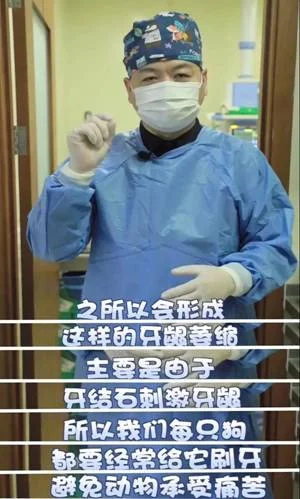 毛孩子皮膚潰爛、骨折，竟是鏟屎官沒做這件事...