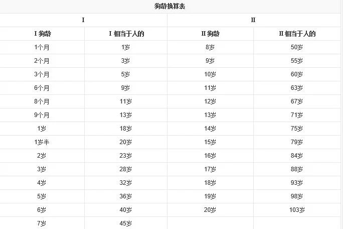 狗6歲相當于人多少歲