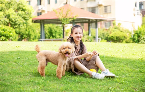 遛狗如何讓狗快速拉屎 注意遛狗的時間