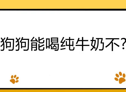 狗狗能喝純牛奶不