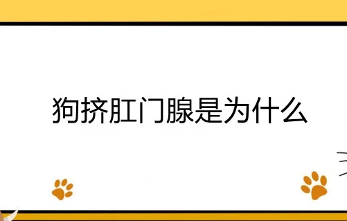 狗擠肛門腺是為什么