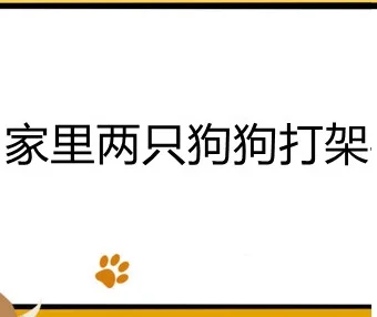 家里兩只狗狗打架要不要阻止