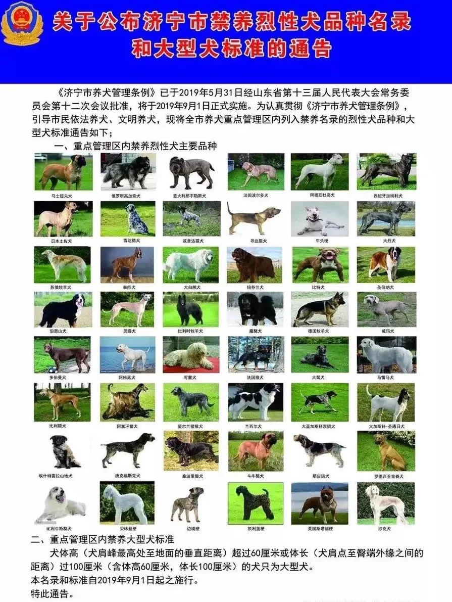 濟寧養犬證辦理 濟寧養犬證怎么申請