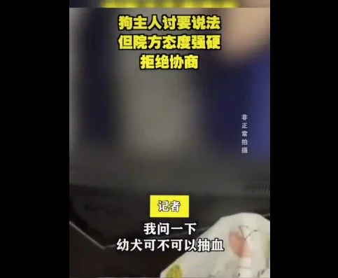 哈士奇給柯基獻血丟了命，狗主人：醫生沒有資格證！