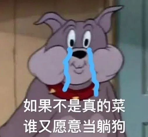 震驚！考不上公務員的小狗，是要被賣掉的！