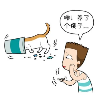 鏟屎官的五個等級！你在哪一級？