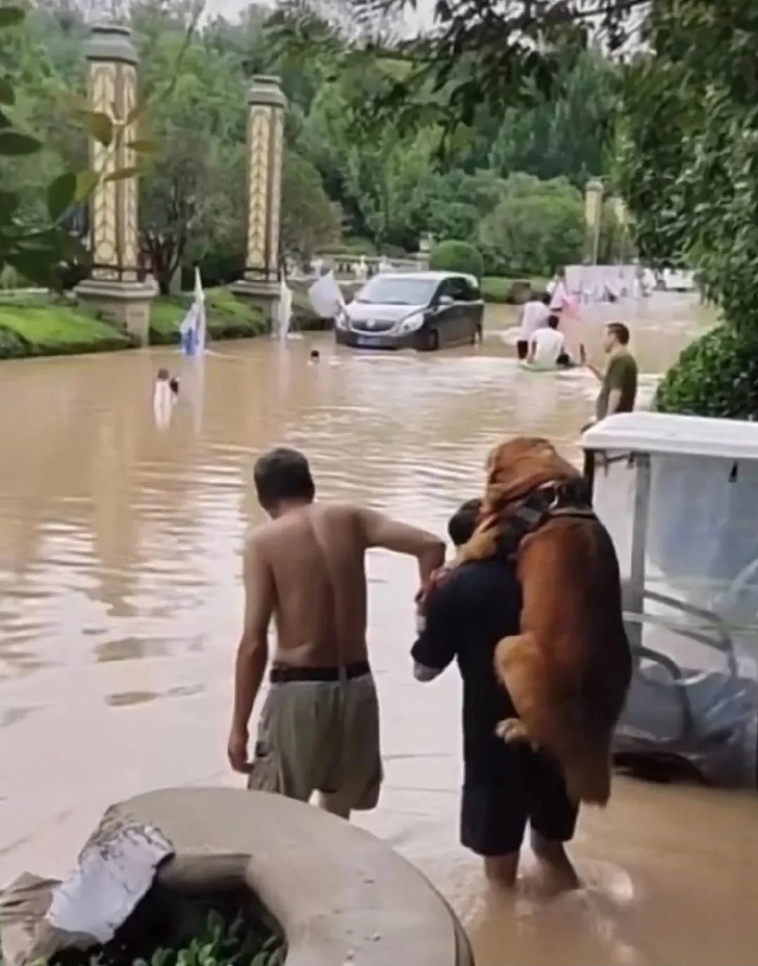 暴雨中主人帶狗狗撤離的瞬間！都要平平安安！