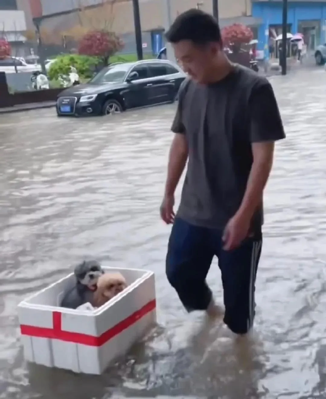 暴雨中主人帶狗狗撤離的瞬間！都要平平安安！