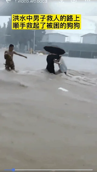 暴雨中主人帶狗狗撤離的瞬間！都要平平安安！