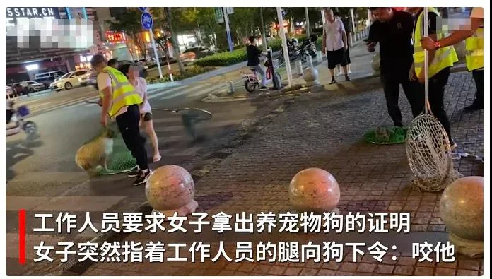 女子遛狗不拴繩，被執(zhí)法人員捕獲后竟讓狗咬人